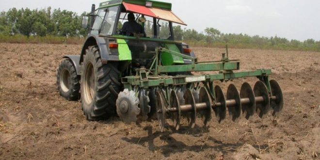Togo : des jeunes outillés sur les nouvelles techniques agricoles