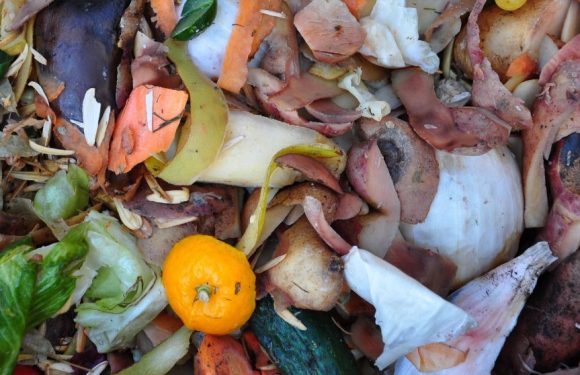 Ces agriculteurs recyclent les déchets alimentaires pour produire de l’électricité