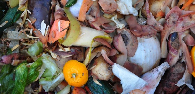 Ces agriculteurs recyclent les déchets alimentaires pour produire de l’électricité