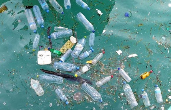 Véritable fléau, le plastique envahit les fleuves de France