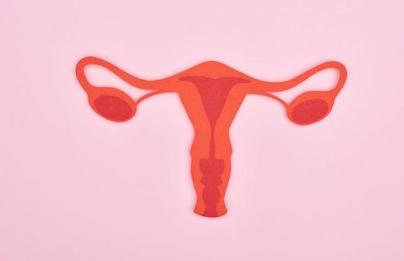 Six choses à savoir sur le cancer du col de l’utérus