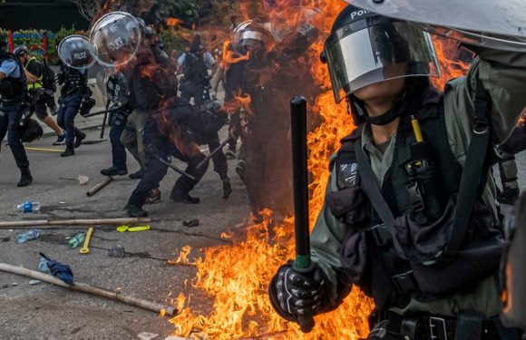 The Year in Pictures 2019