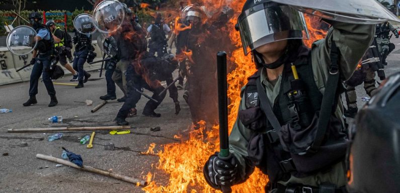 The Year in Pictures 2019