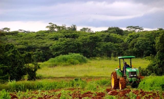 Liberia : le rêve d’une agriculture plus dynamique