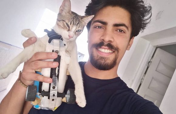Ce Tunisien fabrique des prothèses pour les animaux handicapés avec du matériel de récupération