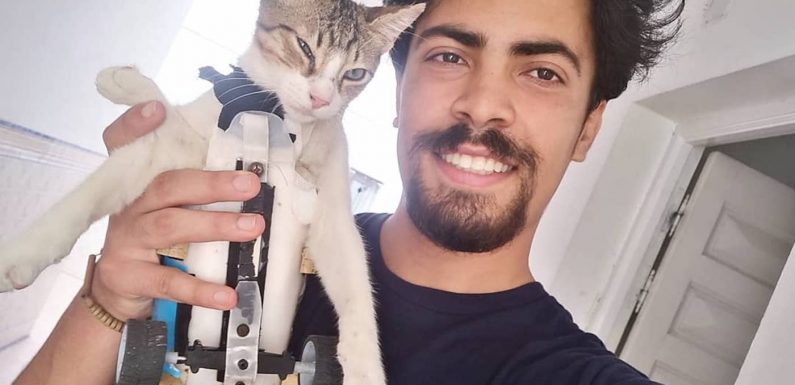 Ce Tunisien fabrique des prothèses pour les animaux handicapés avec du matériel de récupération