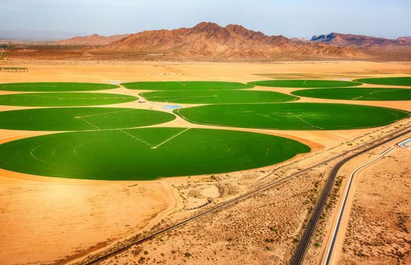 Global demand for food to soar 80 per cent by 2100, scientists warn