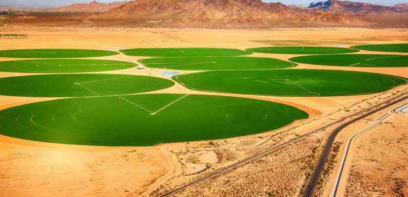 Global demand for food to soar 80 per cent by 2100, scientists warn