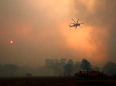 ‘Like a furnace’: Australia set to see hottest day ever with 50C forecast as devastating bushfires rage