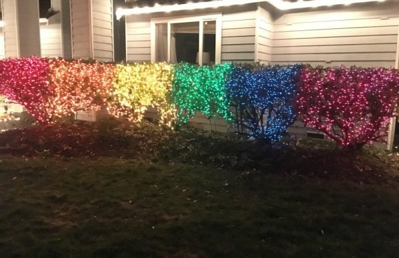 Woman hangs 10,000 rainbow Christmas lights to protest against homophobic neighbours