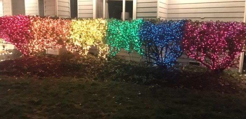 Woman hangs 10,000 rainbow Christmas lights to protest against homophobic neighbours