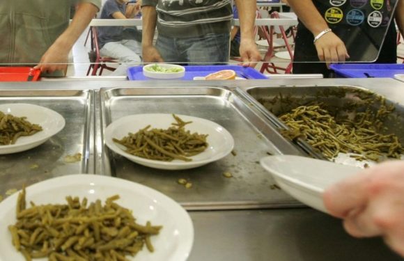 Isère. Il ne mange pas de viande, un enfant exclu de la cantine par le maire de Pont-de-Chéruy