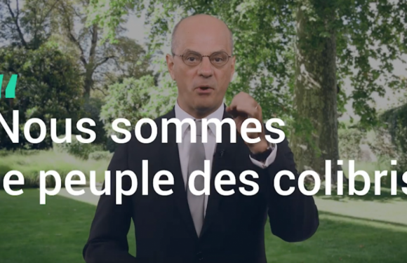 Les élèves auront une cervelle d’oiseau