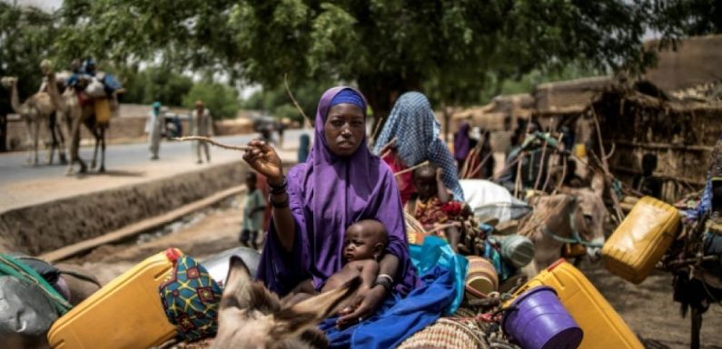 Niger: face au changement climatique, les nomades en fin de course