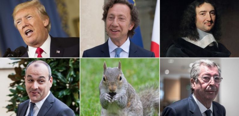 Un jour, un impôt: Trump, Trudeau, Colbert, Bern, Berger, Balkany et des écureuils