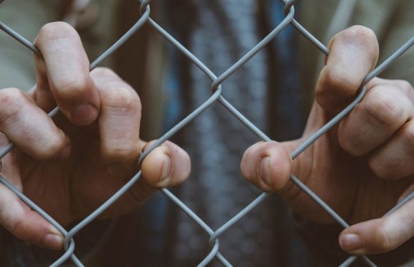 Un influenceur condamné à 14 ans de prison à cause d’un nom de site internet
