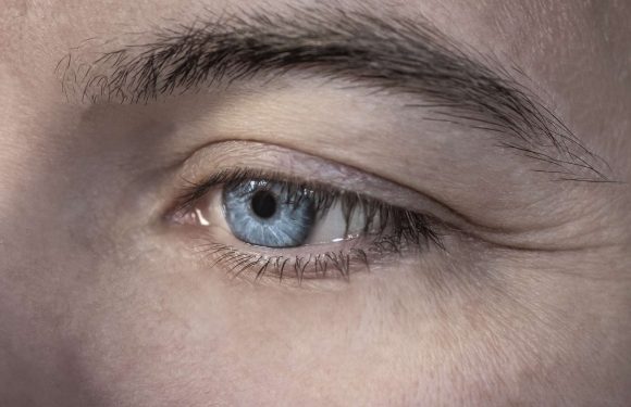 Rétine artificielle : un dispositif prometteur pour la DMLA