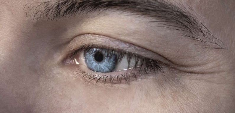 Rétine artificielle : un dispositif prometteur pour la DMLA