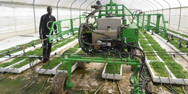 Togo : cette opportunité pour des entrepreneurs agricole