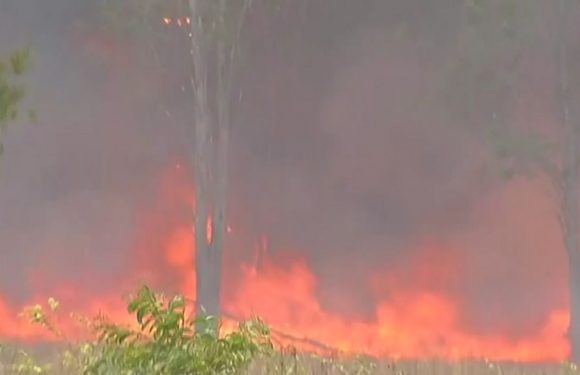 Australie: une centaine d&rsquo;incendies simultanés font rage dans l&rsquo;est