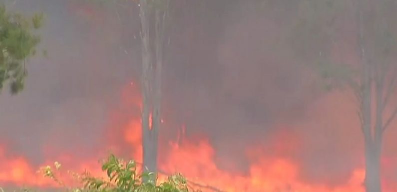 Australie: une centaine d’incendies simultanés font rage dans l’est