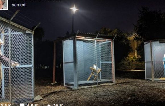 Jésus, Marie et Joseph dans des cages séparées : la crèche qui proteste contre le traitement des migrants aux USA