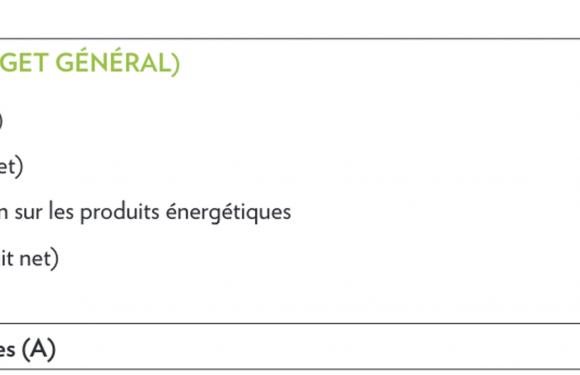Usager partout, citoyen nulle part : ce qu’il reste du consentement à l’impôt