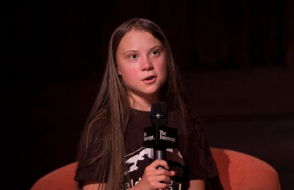 Greta Thunberg : des perceptions bien différentes en France, aux États-Unis et en Allemagne