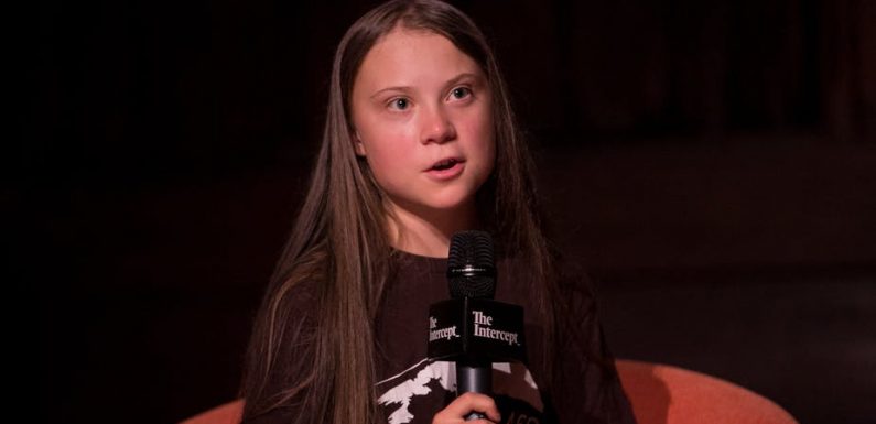 Greta Thunberg : des perceptions bien différentes en France, aux États-Unis et en Allemagne