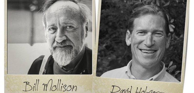 Holmgren et Mollison : les pères de la permaculture