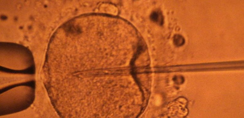 Révision de la loi bioéthique : Une première victoire contre l’eugénisme !