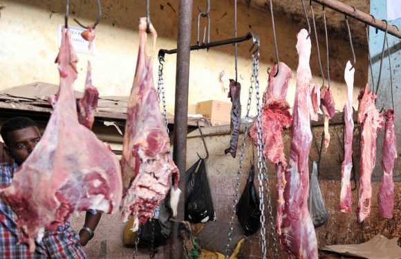 Flambée des prix mondiaux des denrées alimentaires en novembre (FAO)