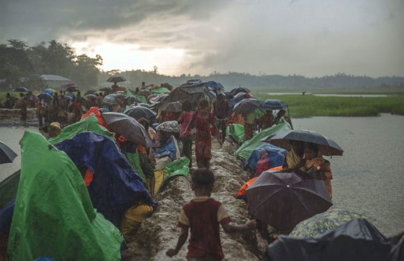 Myanmar : une experte de l’ONU dénonce les menaces en ligne contre les activistes défendant les Rohingya
