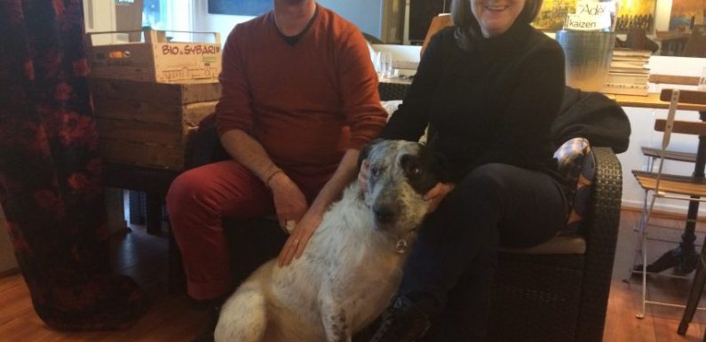 Rennes : après le décès d’un SDF, un couple de restaurateurs adopte son chien, Triskell