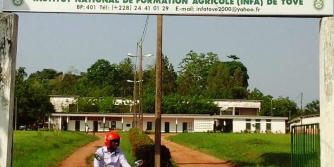 Togo : à la découverte de l’Institut National de Formation Agricole de Tové