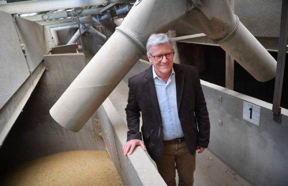 La qualité du blé de l’Allier attire le fabricant de pâtes italien Barilla