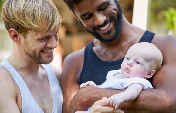 Adoptions to LGBT people in England reaches record high while overall number continues to decline