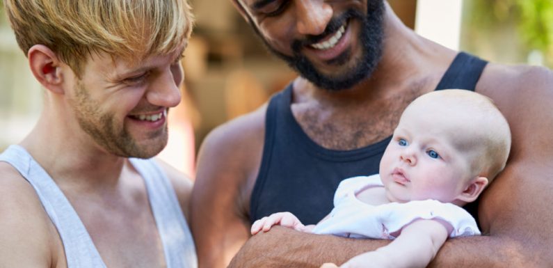 Adoptions to LGBT people in England reaches record high while overall number continues to decline