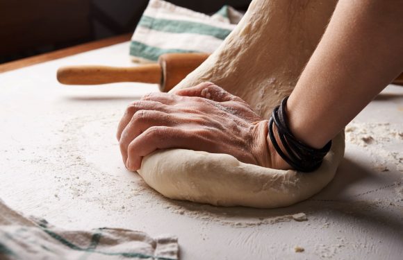 Le pari perdant de la collapsologie