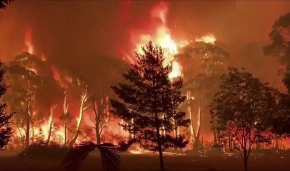 Australia bushfire: Boy, 12, drives pickup to flee with dog