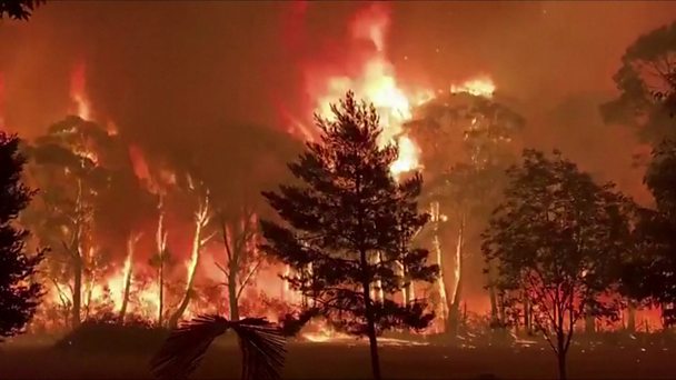 Australia bushfire: Boy, 12, drives pickup to flee with dog