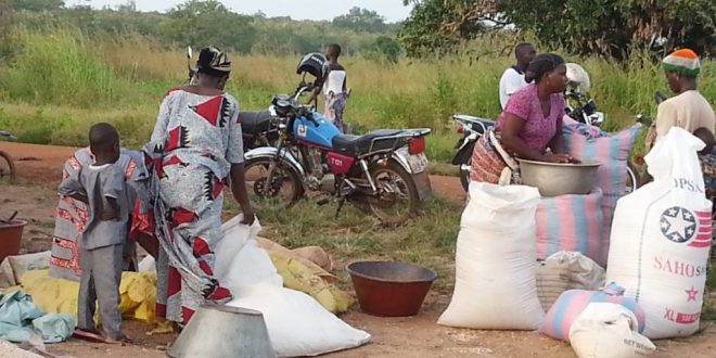 Togo : quelques facteurs qui distinguent le paysan de Vogan des autres