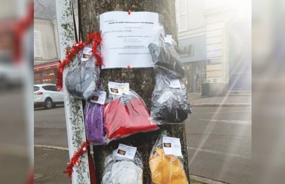 Châteaudun : un “arbre à écharpes” pour aider les sans-abri à passer l&rsquo;hiver