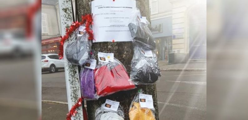 Châteaudun : un “arbre à écharpes” pour aider les sans-abri à passer l’hiver