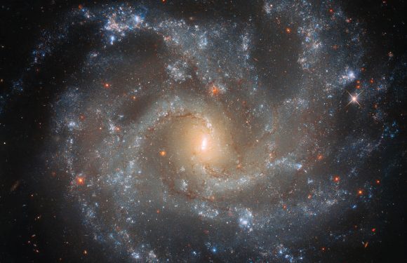 Hubble Spots Galaxy’s Dramatic Details