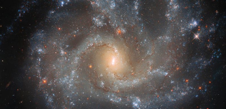 Hubble Spots Galaxy’s Dramatic Details
