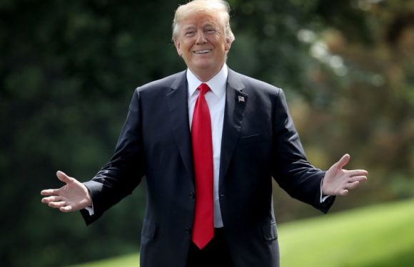Donald Trump Tweets 105 Times In Single Day, Attacking Impeachment Inquiry and Top Democrats