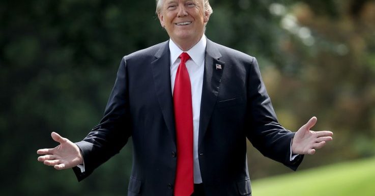 Donald Trump Tweets 105 Times In Single Day, Attacking Impeachment Inquiry and Top Democrats