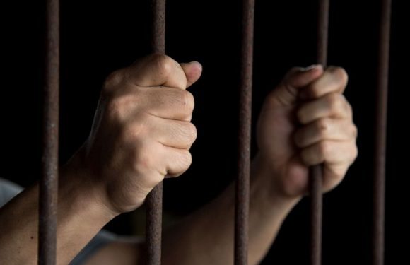 China, Turkey top annual list of world’s worst jailers of journalists: Watchdog