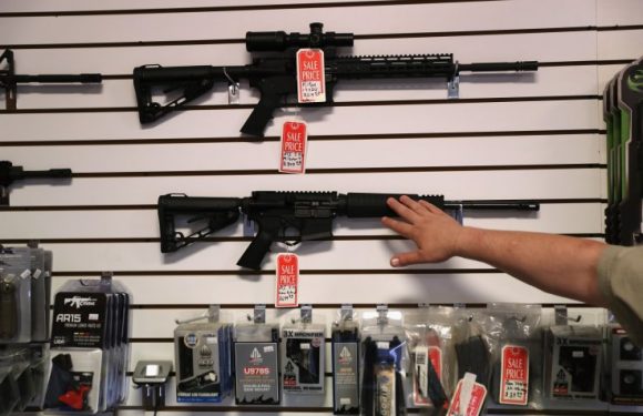 Americans Own at Least 423 Million Firearms, Industry Report Shows
